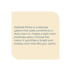 Dulux Easycare Daffodil White Matt Emulsion Paint, 2.5L 5 Dulux Easycare Daffodil White Matt Emulsion Paint, 2.5L -Home Paint Store dulux easycare daffodil white matt emulsion paint 2 5l5010212640401 36c bq