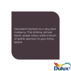 Dulux Easycare Washable & Tough Decadent Damson Matt Wall Paint, 2.5L 5 Dulux Easycare Washable & Tough Decadent Damson Matt Wall Paint, 2.5L -Home Paint Store dulux easycare washable tough decadent damson matt wall paint 2 5l5010212658628 36c bq