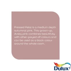 Dulux Easycare Washable & Tough Pressed Petal Matt Wall Paint, 2.5L 5 Dulux Easycare Washable & Tough Pressed Petal Matt Wall Paint, 2.5L -Home Paint Store dulux easycare washable tough pressed petal matt wall paint 2 5l5010212658581 36c bq