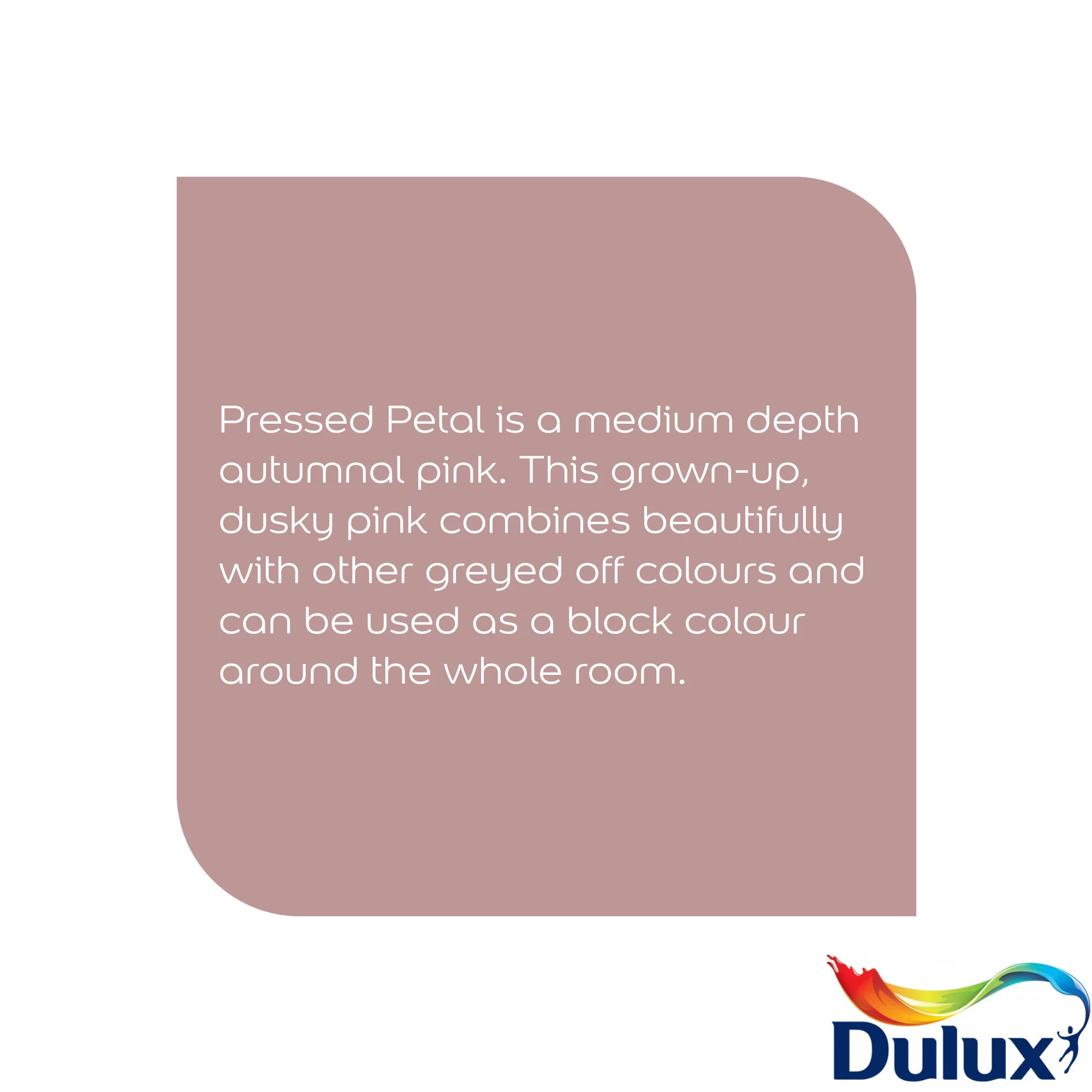 Dulux Easycare Washable & Tough Pressed Petal Matt Wall paint, 5L Dulux Easycare Washable & Tough Pressed Petal Matt Wall Paint, 5L -Home Paint Store dulux easycare washable tough pressed petal matt wall paint 5l5010212668283 36c bq