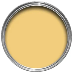 Farrow & Ball Estate Citron No.74 Eggshell Paint, 750ml -Home Paint Store farrow ball estate citron no 74 eggshell paint 750ml5029496737479 12c bq