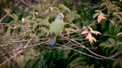 Home Paint Store 8 Home Paint Store -Home Paint Store farrow ball modern treron no 292 matt emulsion paint 2 5l5029496889222 lcl en