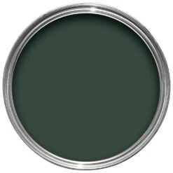 Hammerite Wild Thyme Gloss Exterior Metal Paint, 250ml 2 Hammerite Wild Thyme Gloss Exterior Metal Paint, 250ml -Home Paint Store hammerite wild thyme gloss exterior metal paint 250ml5010212562192 21c bq