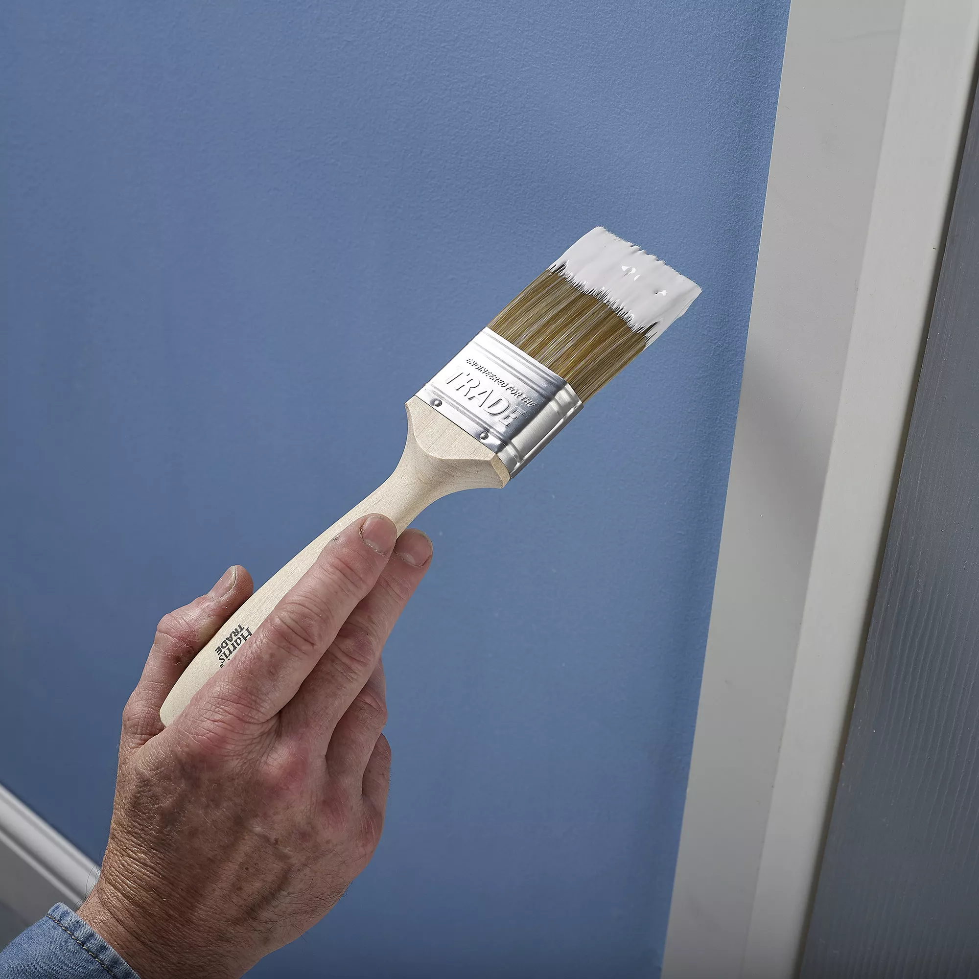 Harris Trade Fine tip Paint brush, Pack of 5 Harris Trade Fine Tip Paint Brush, Pack Of 5 -Home Paint Store harris trade fine tip paint brush pack of 55000253349951 04i BQ