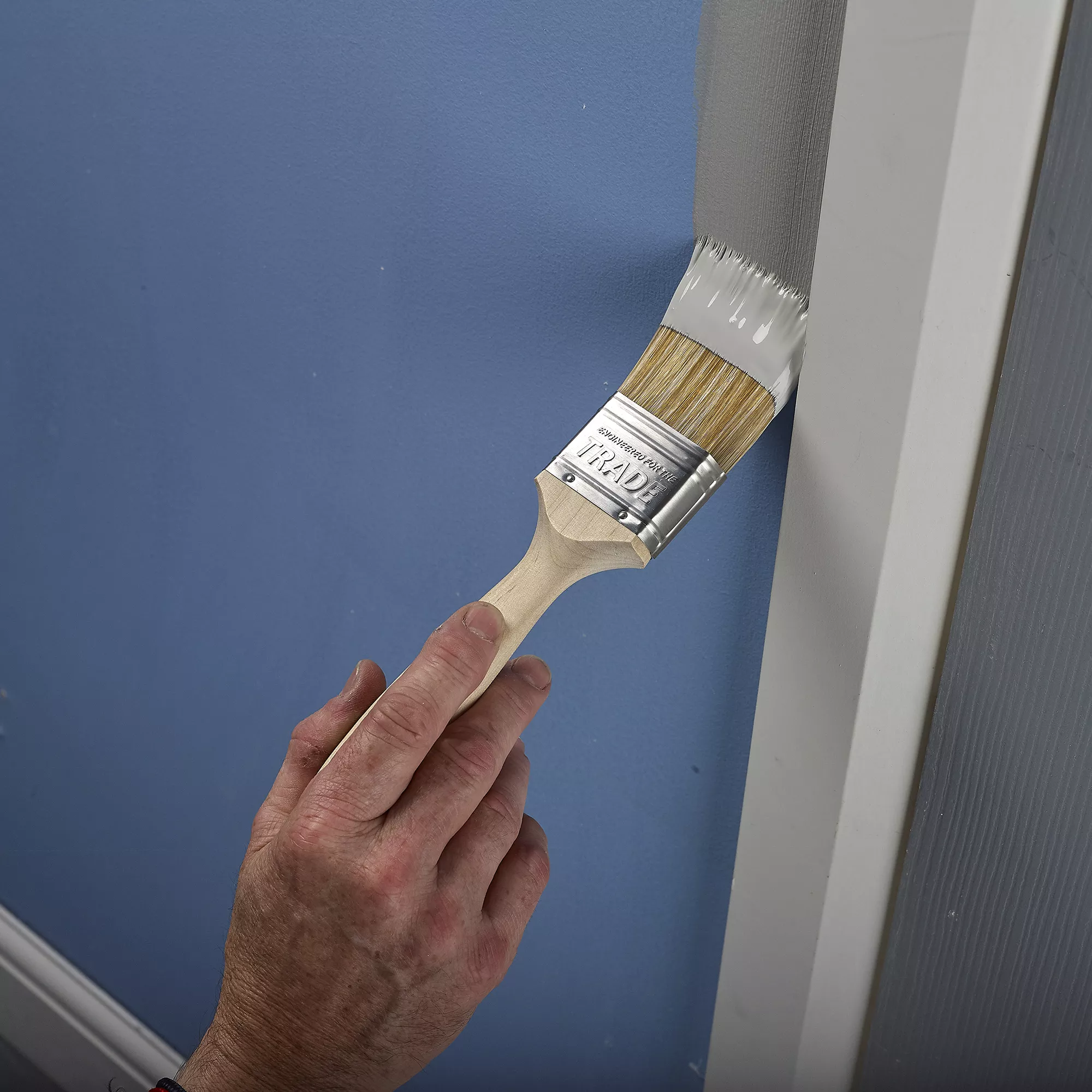 Harris Trade Fine tip Paint brush, Pack of 5 Harris Trade Fine Tip Paint Brush, Pack Of 5 -Home Paint Store harris trade fine tip paint brush pack of 55000253349951 05i BQ