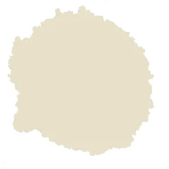 Rust-Oleum Natural Effects Limestone Matt Textured Effect Multi-surface Spray Paint, 400ml -Home Paint Store rust oleum natural effects limestone matt textured effect multi surface spray paint 400ml5013296953573 21c bq