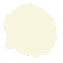 Rust-Oleum Painter's Touch Almond Gloss Multi-surface Decorative Spray Paint, 400ml -Home Paint Store rust oleum painter s touch almond gloss multi surface decorative spray paint 400ml5013296950206 21c bq