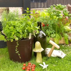 Rust-Oleum Universal Oil Rubbed Bronze Effect Multi-surface Spray Paint, 400ml -Home Paint Store rust oleum universal oil rubbed bronze effect multi surface spray paint 400ml5013296951081 01i bq